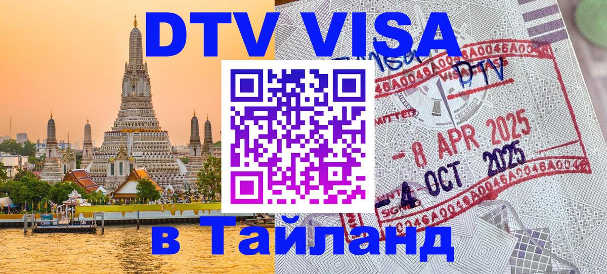 Оформление DTV визы под ключ: стоимость и тарифы, только загранпаспорт - Дамаск  05.10.2025 